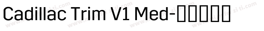 Cadillac Trim V1 Med字体转换